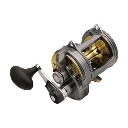 Picture of Shimano Tyrnos  2 Speed