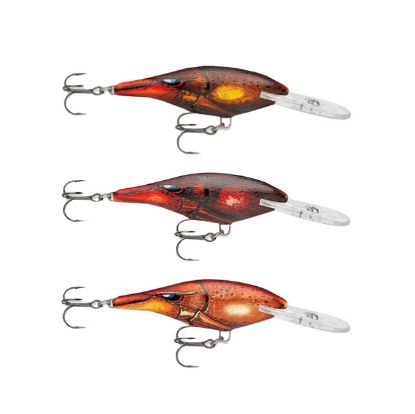 Picture of Rapala Shad Rap