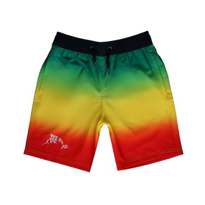 Picture of Bob Marlin Board Shorts Youth Rasta Flag