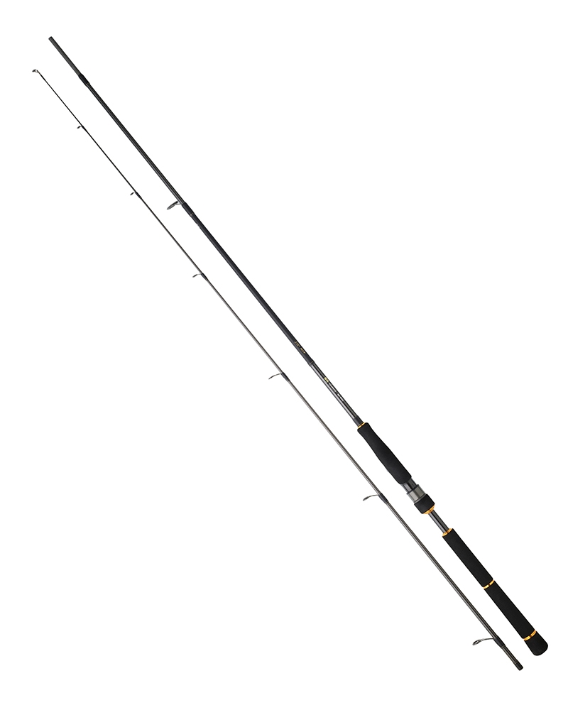 Picture of Daiwa BG Seabass Spinning Rod