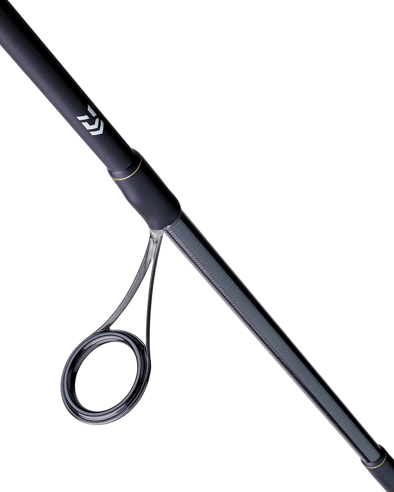 Picture of Daiwa BG Seabass Spinning Rod